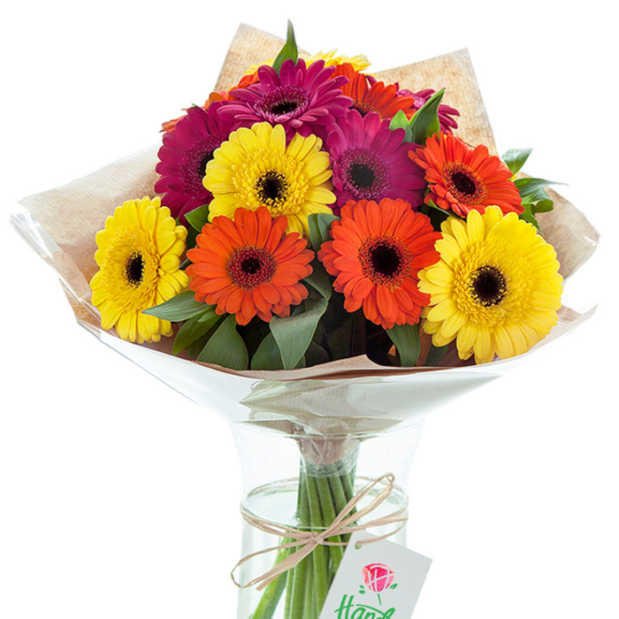 Standing out against a bright, uncluttered background, this exuberant collection of Gerbera daisies is set in a crystal-clear glass vase typical of the elegant floristry found along Dartmouth Park's leafy avenues. The bouquet features an expertly balanced array of sunny yellow, electric orange, and plush magenta Gerbera blooms, each illuminated by a surrounding sea of glossy green foliage and marked by intense dark centers that highlight their vibrancy. The upper half of the arrangement is artistically cloaked in a layer of rustic, brown kraft paper-its earthy tones gently softened by the outer crinkle of clear cellophane, offering both protection and an inviting sheen. The lower portion reveals stems gathered neatly, submerged in cool water, and tied by hand with a simple raffia bow-a signature touch often seen from local florists. A crisp white tag bearing a small red rose emblem and flowing script dangles from the twine, adding just a hint of thoughtful gifting. This arrangement from a trusted Dartmouth Park flower designer is perfect for marking special moments, decorating a welcoming home, or sending best wishes for recovery or achievement. Its rich colour spectrum and organic presentation evoke celebration and connection within the heart of the community.