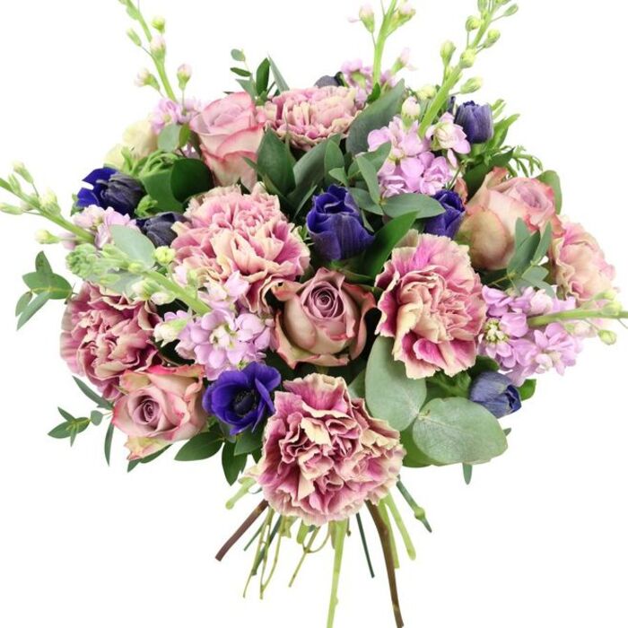 This hand-tied bouquet is photographed against a simple white background, allowing every colour and texture to stand out with clarity, as if viewed on a sunny morning in Dartmouth Park. At the centre, generous garden roses in blush pink, dusty mauve, and antique rose tones open in layered spirals, their velvety petals slowly unfurling to form a romantic focal point. Interlaced with these are lush carnations whose ruffled petals shift from creamy ivory and soft beige to gentle blush and, finally, to richer rose and plum hues at the frilled edges, giving the arrangement a sense of fullness and soft movement. Deep indigo-blue blossoms-some closed in elegant, tulip-like forms-sit alongside a prominent royal blue anemone with a dark, velvety centre, adding pockets of saturated colour that echo the moody skies over nearby Hampstead Heath in late afternoon. Rising through the bouquet, slender stalks of lilac and pale lavender stock support clusters of tiny, closely packed flowers, lending height, delicacy, and a hint of sweet, comforting scent. Embracing the blooms is a generous layer of foliage: rounded, silvery-green eucalyptus leaves with a matte finish and fresh, aromatic quality intermingle with broader, darker green leaves that anchor the composition and enhance its natural, garden-inspired character. At the base, the stems are clearly visible, neatly bound and fanned in a spiral, revealing the skill and control behind the relaxed appearance. The palette-romantic pinks, serene purples, dramatic blues, and lively greens-conveys quiet celebration and emotional warmth, making the bouquet particularly suited to anniversaries in Dartmouth Park, birthday surprises for friends near Swains Lane, or as a graceful, comforting delivery for someone needing a gentle lift around Tufnell Park.